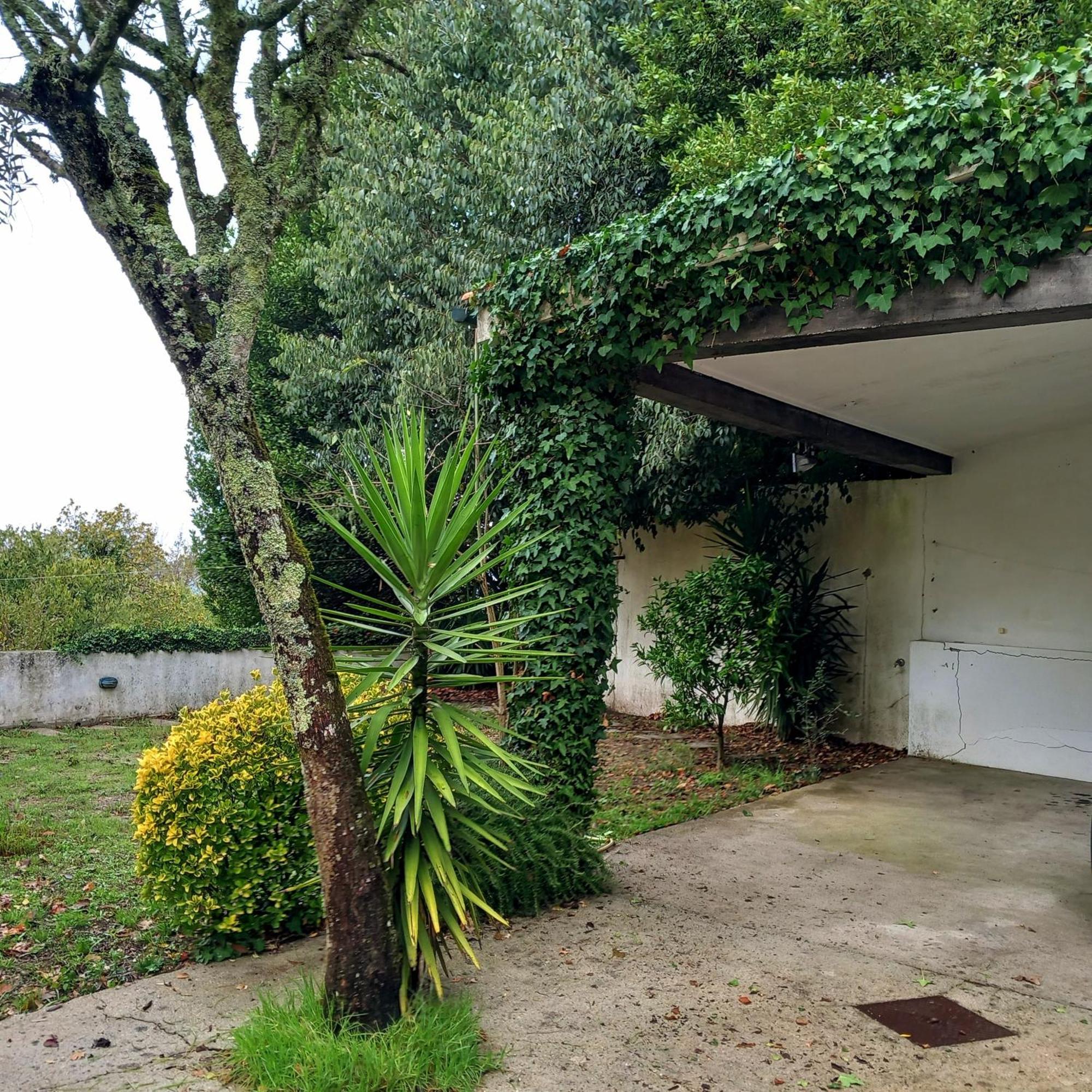 Villa Casa Amarante Porto Esterno foto